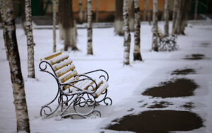 bench coverings